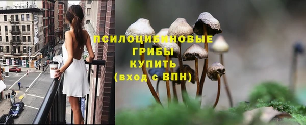 дмт Верхний Тагил