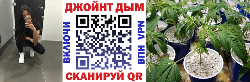 Шишки марихуана конопля  Верхняя Пышма 